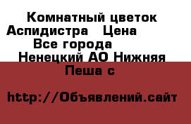 Комнатный цветок Аспидистра › Цена ­ 150 - Все города  »    . Ненецкий АО,Нижняя Пеша с.